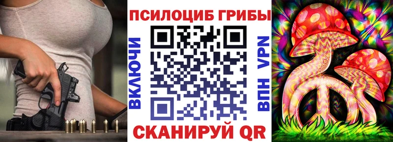 blacksprut как зайти  Снежногорск  Псилоцибиновые грибы Psilocybe  купить закладку 