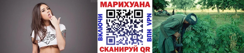 продажа наркотиков  Снежногорск  МАРИХУАНА SATIVA & INDICA 
